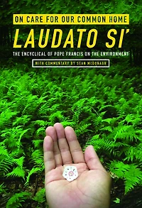 On Care for Our Common Home, Laudato Si': The Encyclical of Pope Francis on the Environment