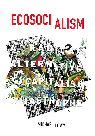 Ecosocialism: A Radical Alternative to Capitalist Catastrophe