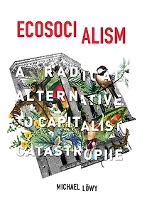 Ecosocialism: A Radical Alternative to Capitalist Catastrophe