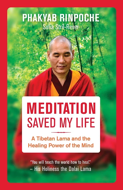 Meditation Saved My Life: A Tibetan Lama and the Healing Power of Mind