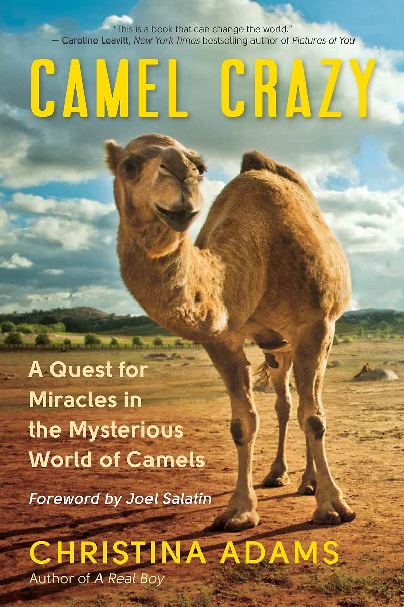 Camel Crazy: A Quest for Miracles the Mysterious World of Camels