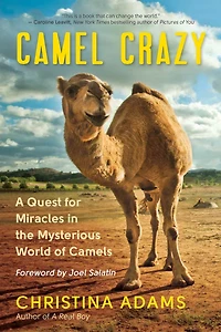 Camel Crazy: A Quest for Miracles the Mysterious World of Camels