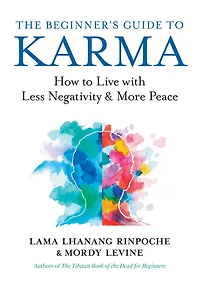 The Beginner's Guide to Karma: How Live with Less Negativity and More Peace