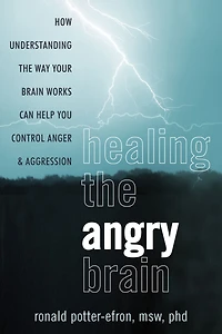 Healing the Angry Brain: How Understanding Way Your Brain Works Can Help You Control Anger and Aggression