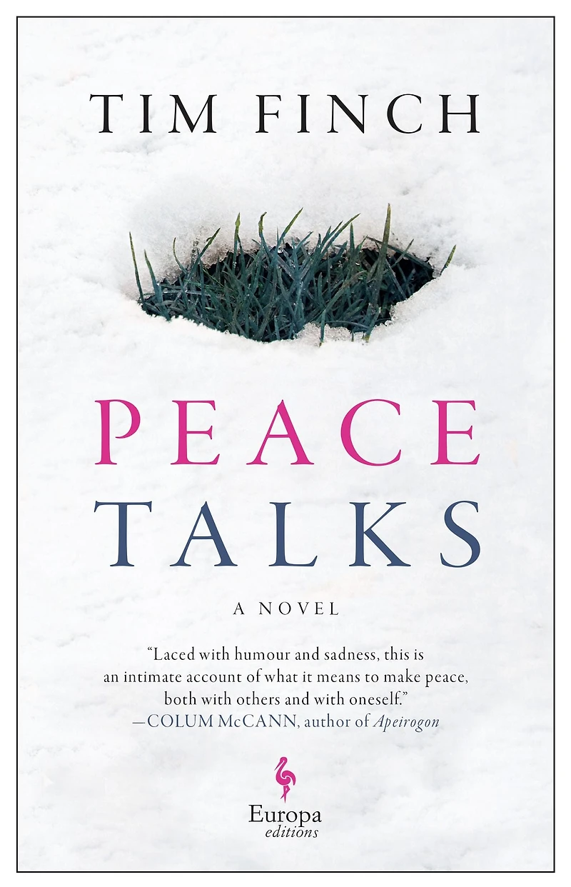 Peace Talks: A Novel