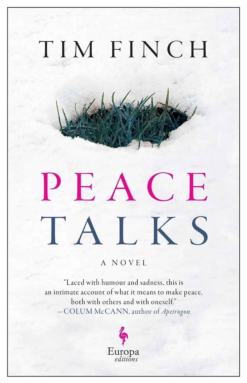 Peace Talks: A Novel
