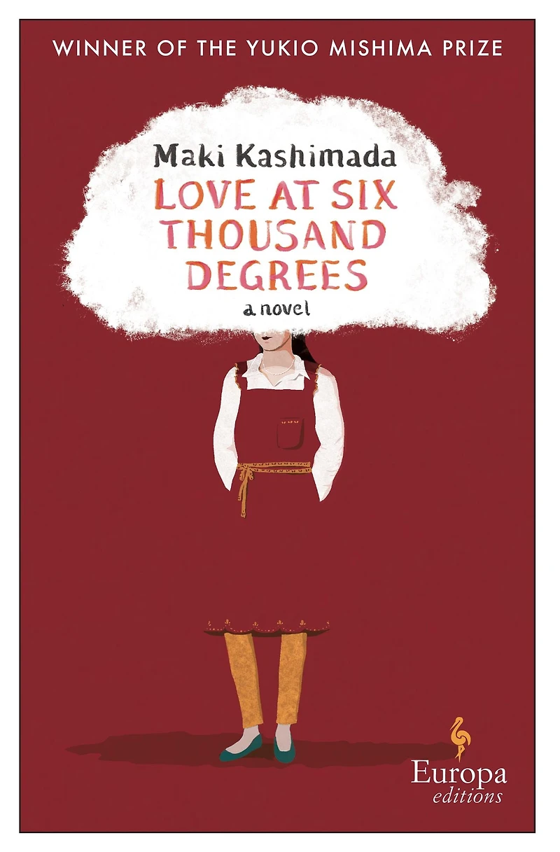 Love at Six Thousand Degrees: A Novel