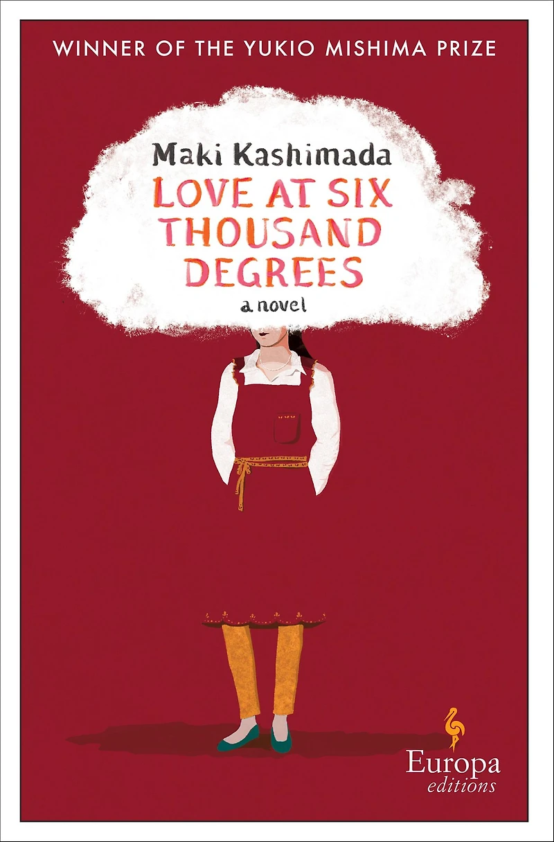 Love at Six Thousand Degrees: A Novel