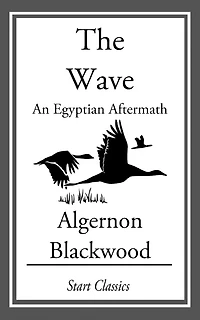 The Wave: An Egyptian Aftermath