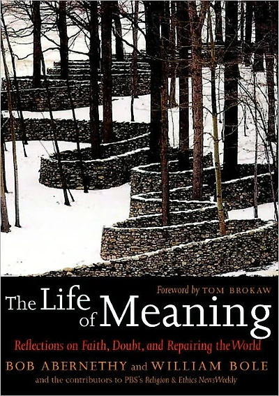the Life of Meaning: Reflections on Faith, Doubt, and Repairing World