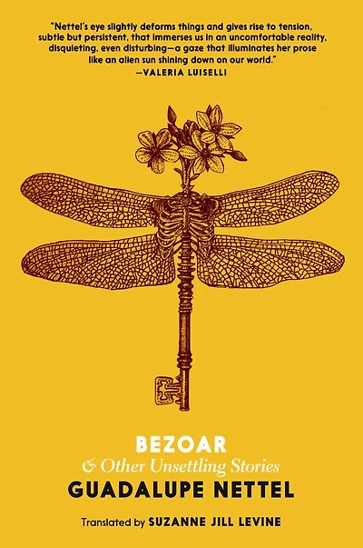 Bezoar: And Other Unsettling Stories