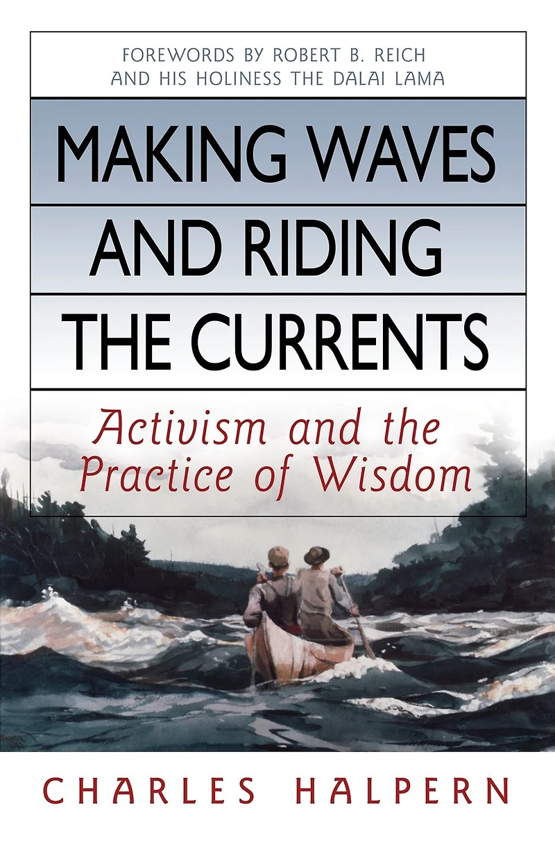 Making Waves and Riding the Currents: Activism Practice of Wisdom