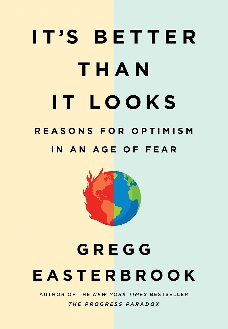 It's Better Than It Looks: Reasons for Optimism an Age of Fear