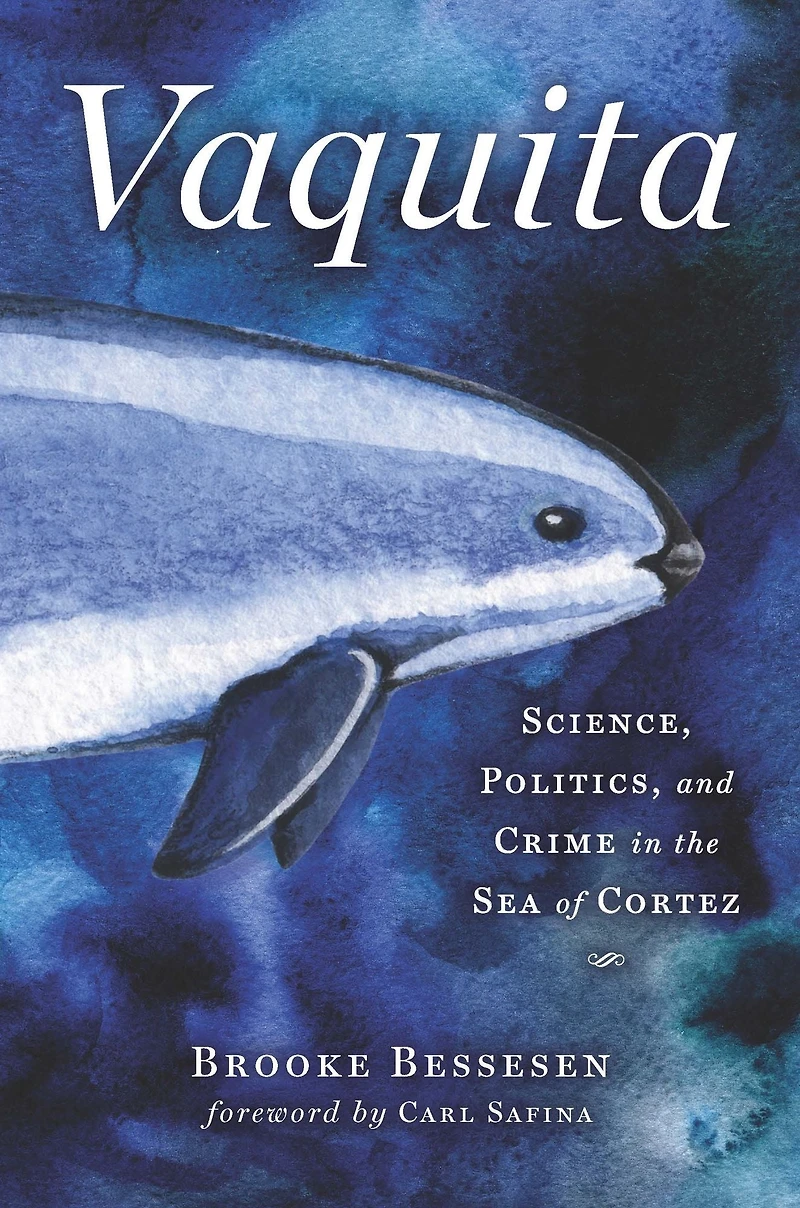 Vaquita: Science, Politics, and Crime the Sea of Cortez