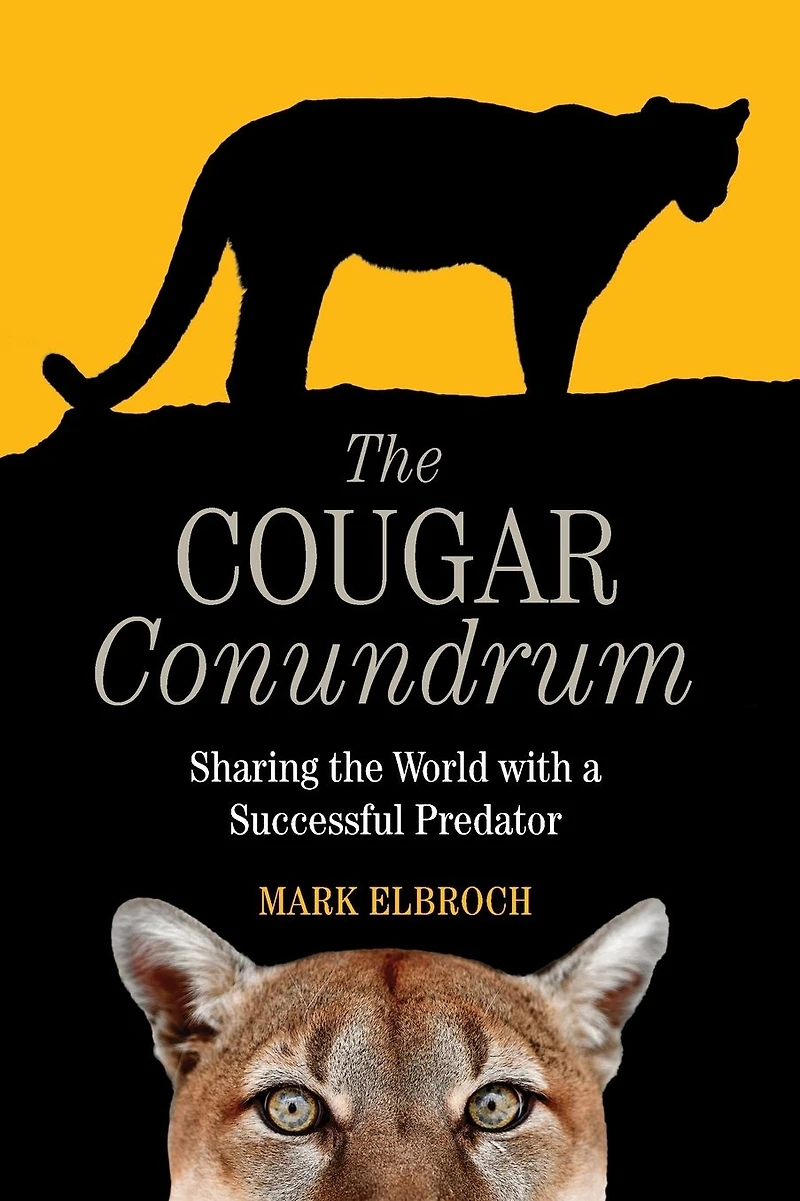the Cougar Conundrum: Sharing World with a Successful Predator