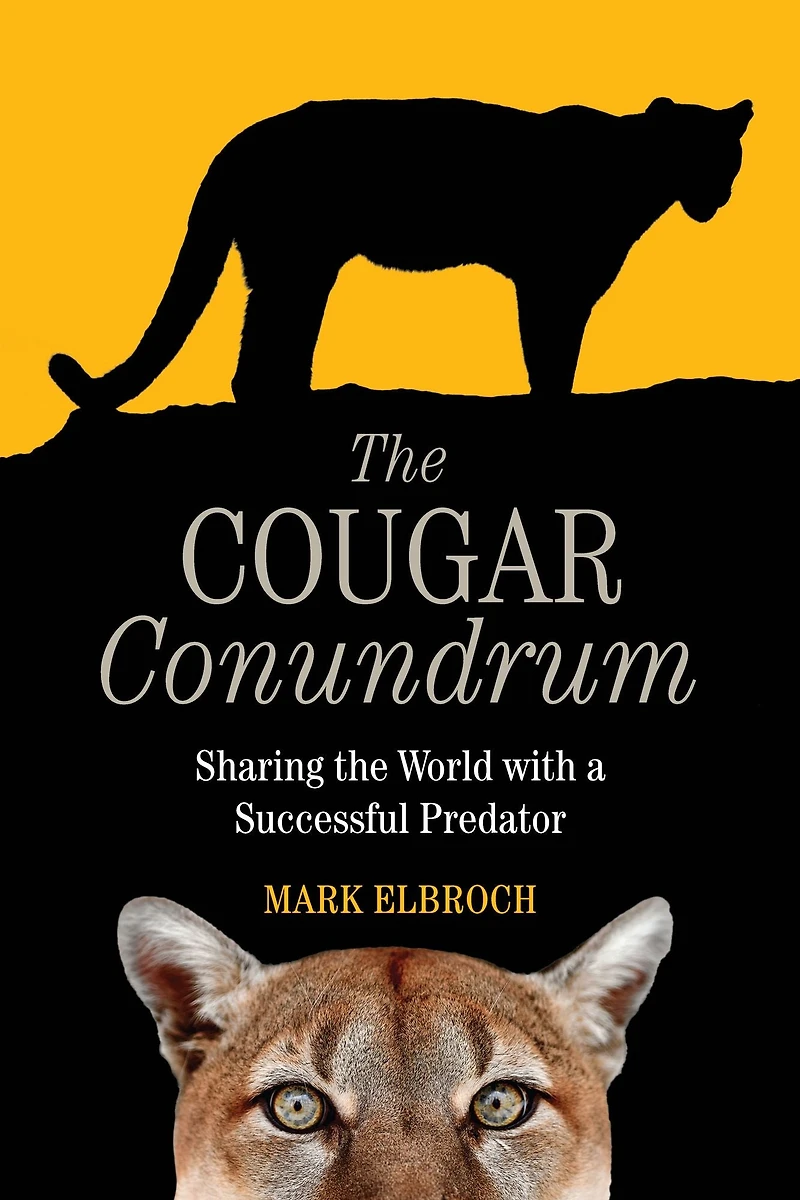 the Cougar Conundrum: Sharing World with a Successful Predator