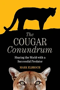 the Cougar Conundrum: Sharing World with a Successful Predator