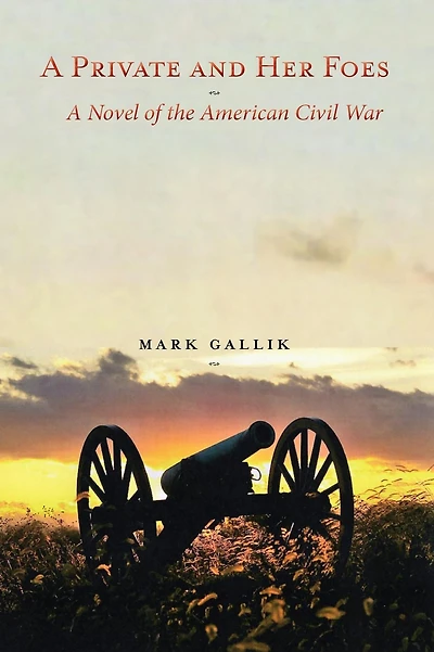A Private and Her Foes: A Novel of the American Civil War