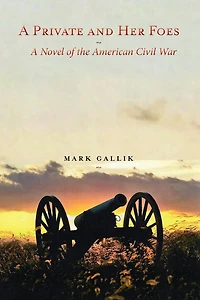 A Private and Her Foes: A Novel of the American Civil War
