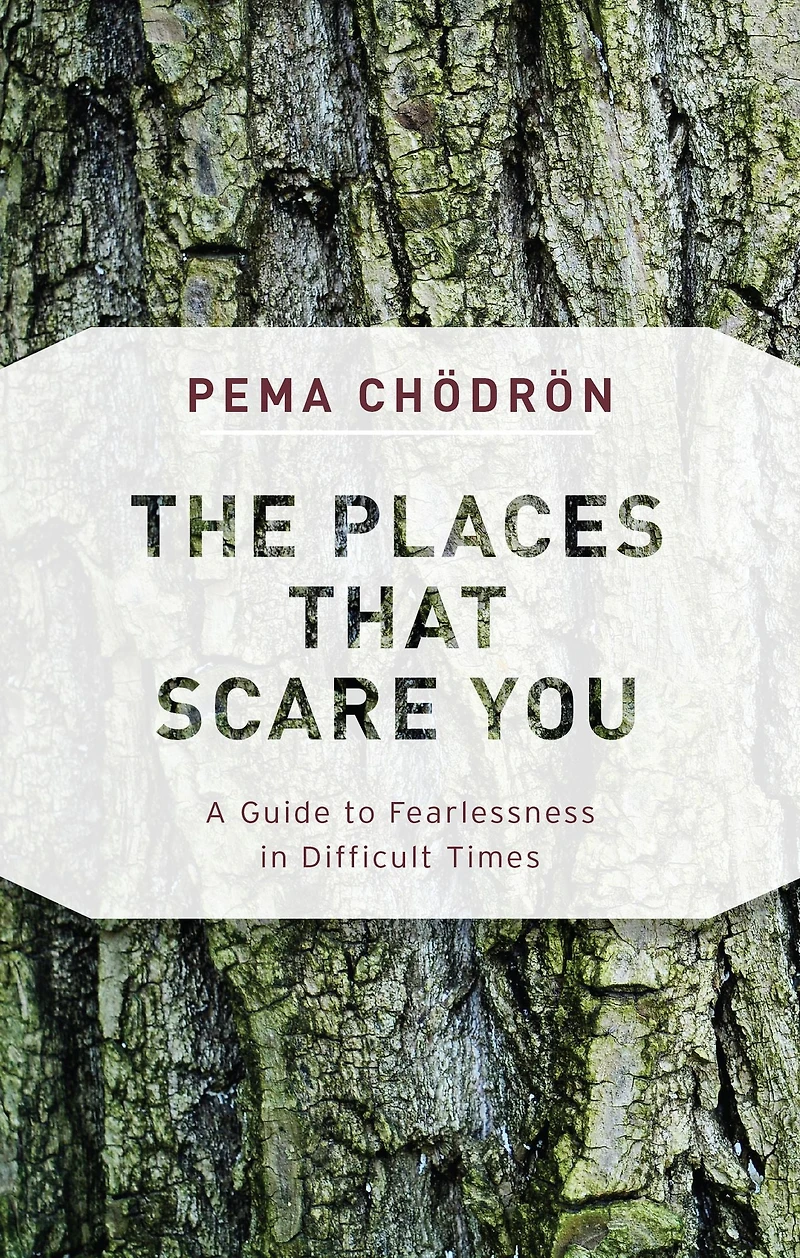 The Places That Scare You: A Guide to Fearlessness Difficult Times