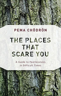 The Places That Scare You: A Guide to Fearlessness Difficult Times
