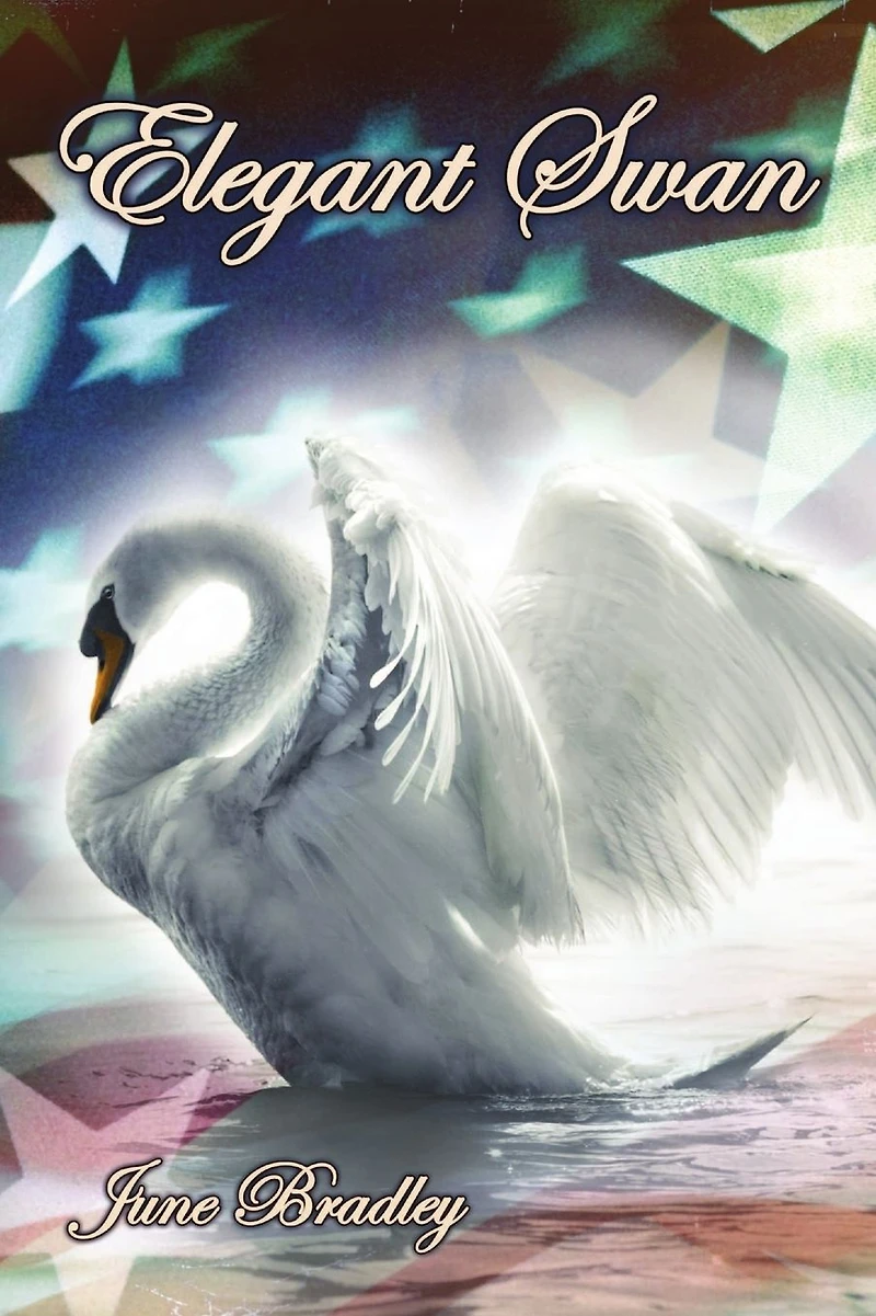 An Elegant Swan