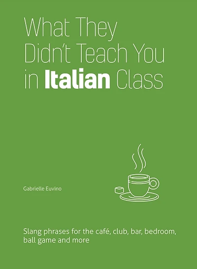 What They Didn't Teach You Italian Class: Slang Phrases for the Cafe, Club, Bar, Bedroom, Ball Game and More