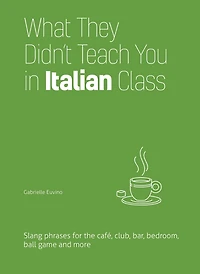 What They Didn't Teach You Italian Class: Slang Phrases for the Cafe, Club, Bar, Bedroom, Ball Game and More