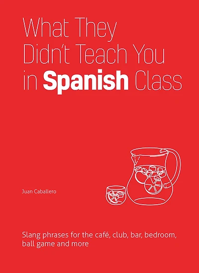 What They Didn't Teach You Spanish Class: Slang Phrases for the Cafe, Club, Bar, Bedroom, Ball Game and More