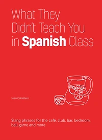 What They Didn't Teach You Spanish Class: Slang Phrases for the Cafe, Club, Bar, Bedroom, Ball Game and More