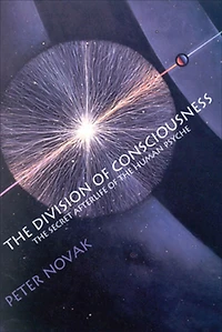 the Division of Consciousness: Secret Afterlife Human Psyche