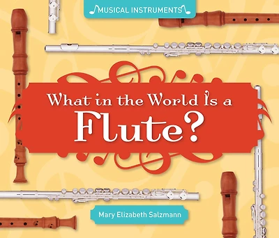What in the World Is a Flute? eBook