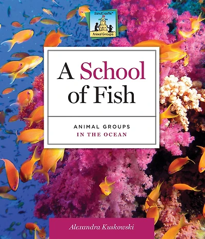 School of Fish: Animal Groups in the Ocean eBook