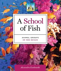 School of Fish: Animal Groups in the Ocean eBook