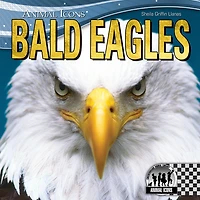 Bald Eagles eBook