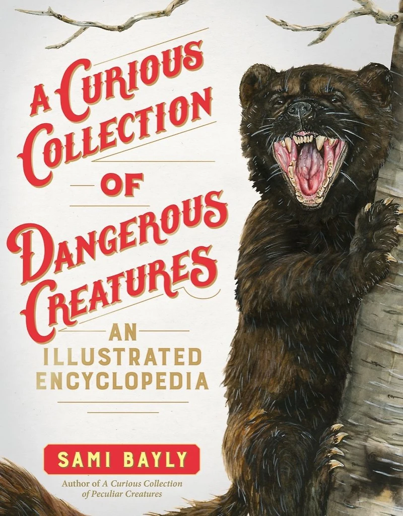 A Curious Collection of Dangerous Creatures: An Illustrated Encyclopedia