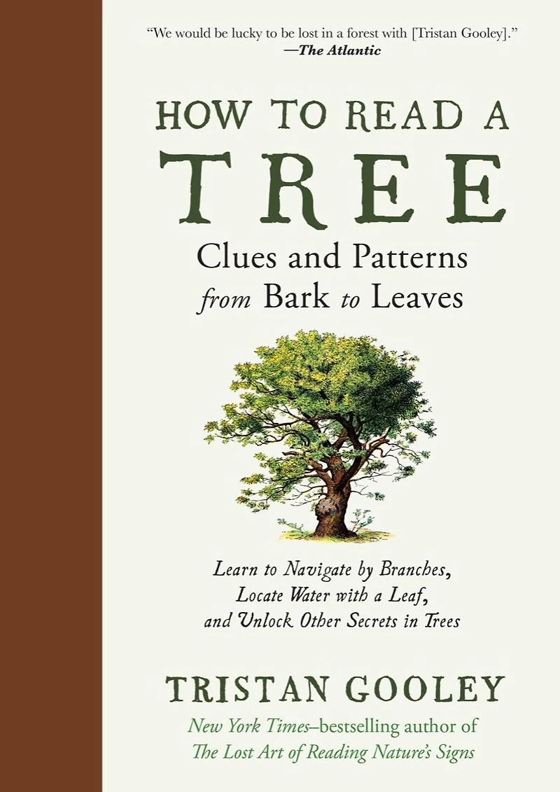 How to Read a Tree: Clues and Patterns from Bark Leaves