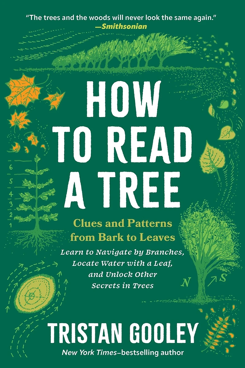 How to Read a Tree: Clues and Patterns from Bark Leaves