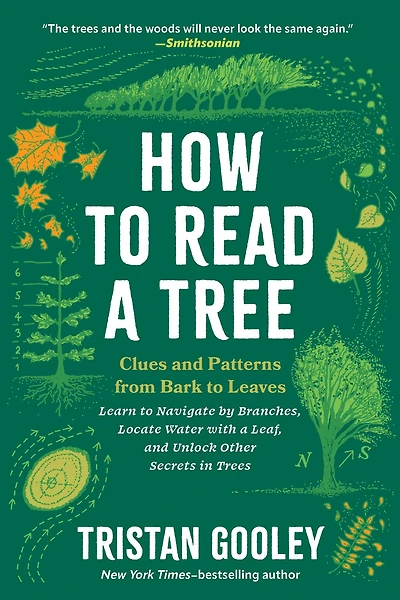How to Read a Tree: Clues and Patterns from Bark Leaves