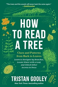 How to Read a Tree: Clues and Patterns from Bark Leaves