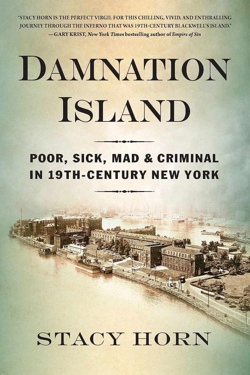 Damnation Island: Poor, Sick, Mad, and Criminal 19th-Century New York