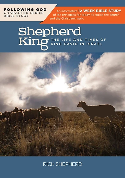 Following God David, the Shepherd King: The Life and Times of King David in Israel