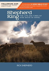 Following God David, the Shepherd King: The Life and Times of King David in Israel