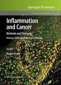 Inflammation and Cancer: Methods Protocols: Volume 2, Molecular Analysis Pathways