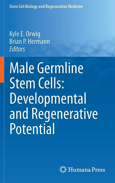 Male Germline Stem Cells: Developmental and Regenerative Potential