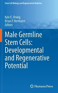Male Germline Stem Cells: Developmental and Regenerative Potential