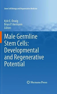 Male Germline Stem Cells: Developmental and Regenerative Potential