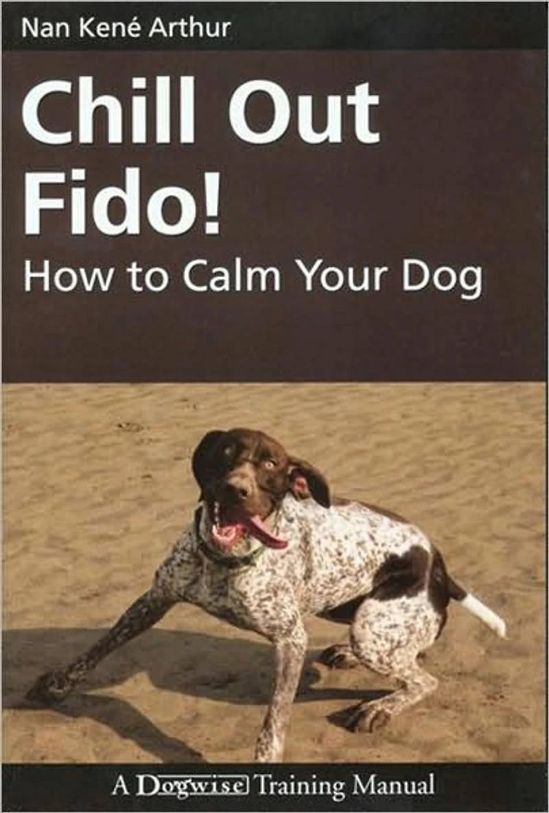 Chill Out Fido! - How To Calm Your Dog