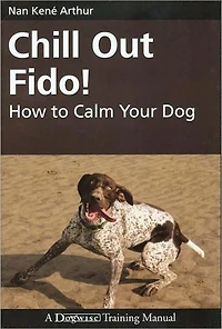 Chill Out Fido! - How To Calm Your Dog
