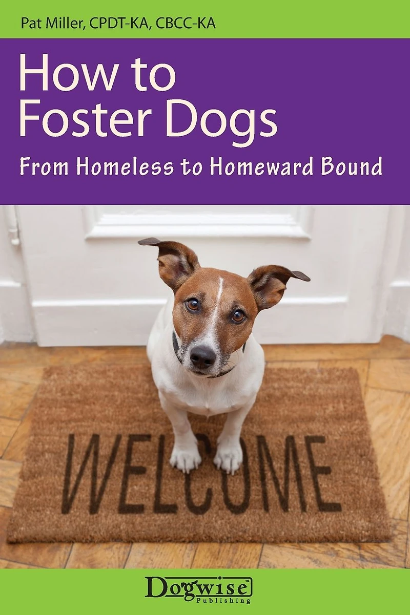 How To Foster Dogs - From Homeless Homeward Bound